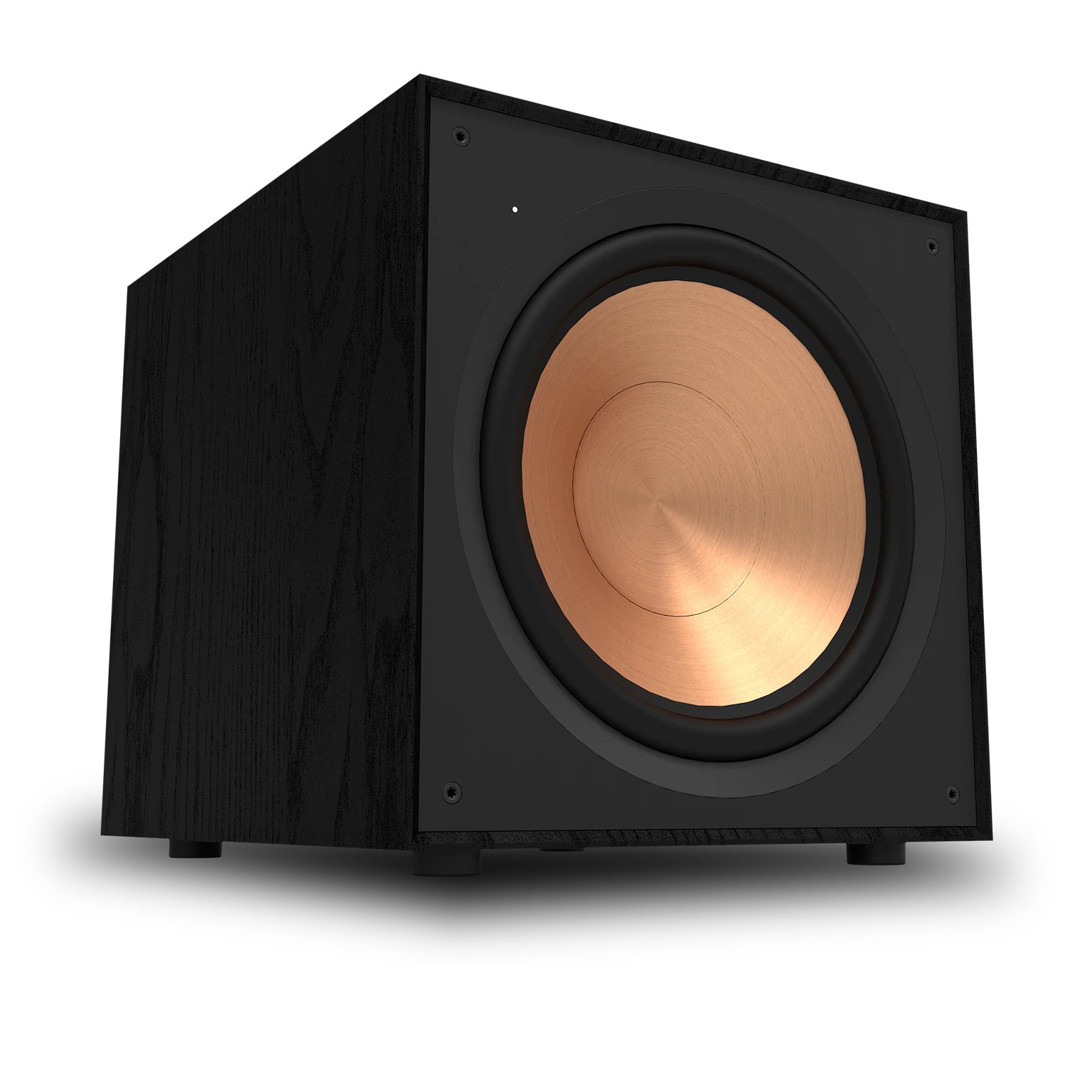 Klipsch R-101SW 10-inch subwoofer