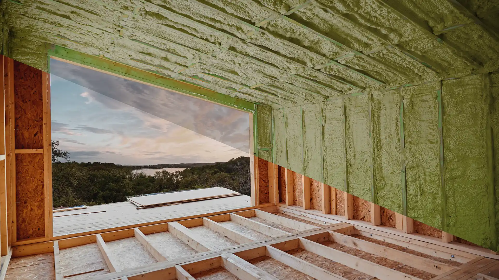 Home - Section 1 - Background