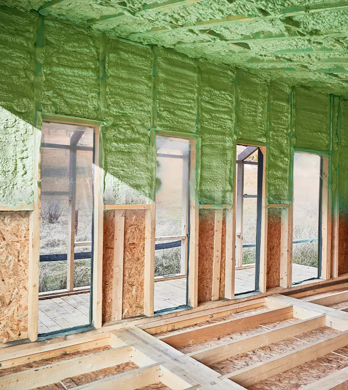 Home - Section 2 - Image 1